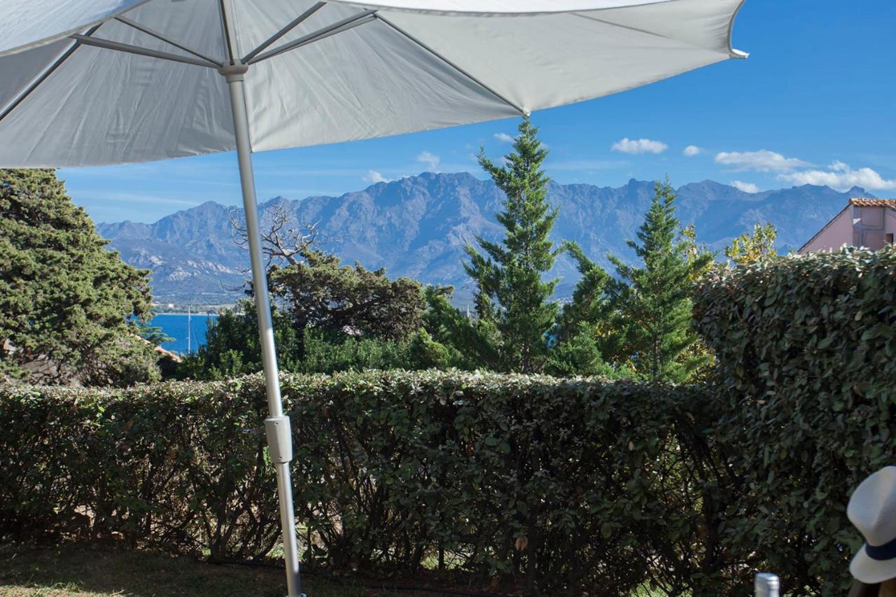 Mare Appart Avec Jardin Et Bbq Vue Mer Et Montagne Plage Et Port A 2 Pas Calvi  Zewnętrze zdjęcie